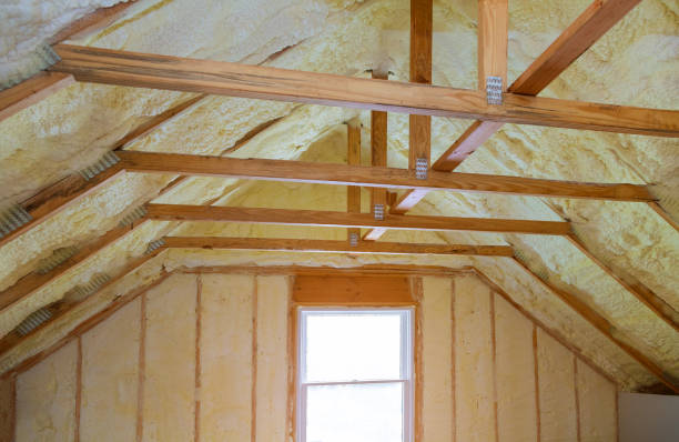 Types of Insulation We Offer in Kekaha, HI