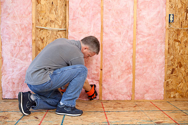 Best Geographic-Specific Insulation Services in Kekaha, HI