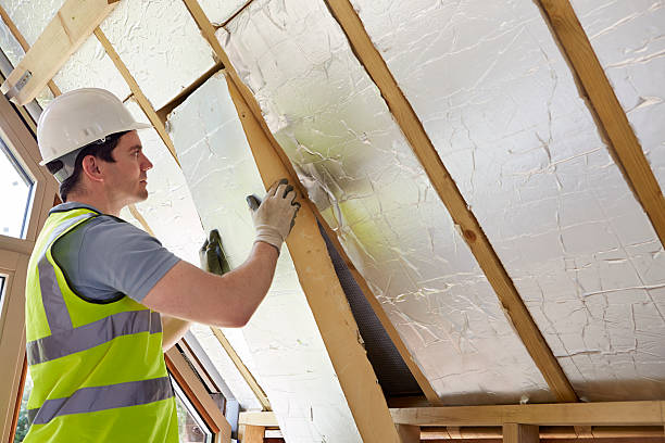 Best Geographic-Specific Insulation Services in Kekaha, HI